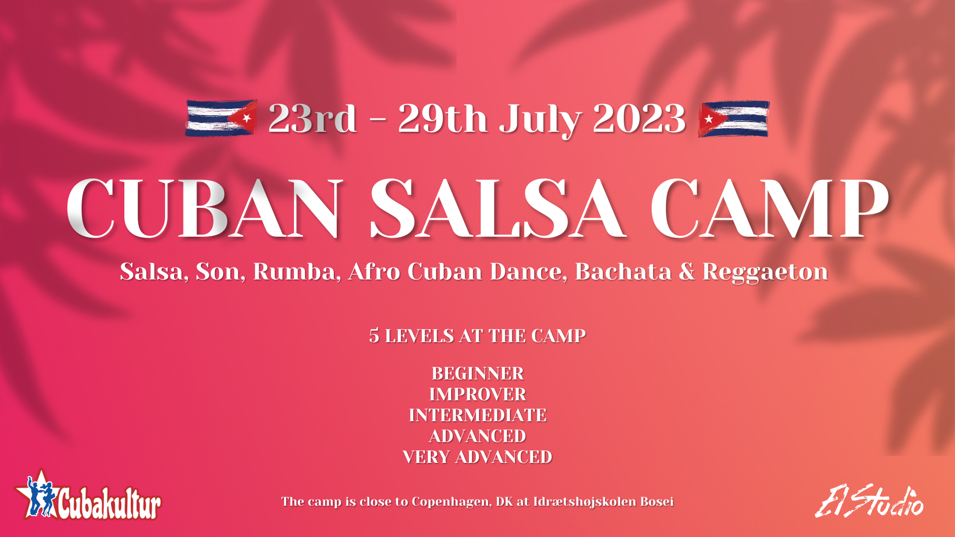 cuban salsa camp